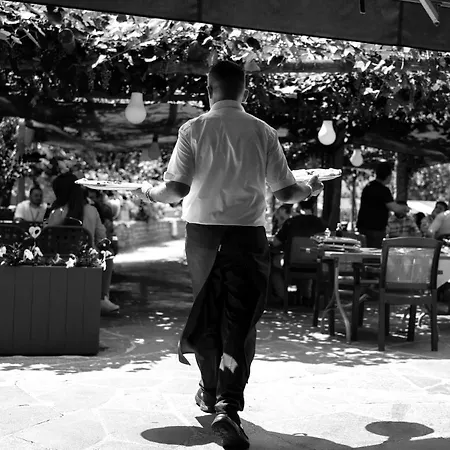 Ristorante Grotto Serta 3* Lamone